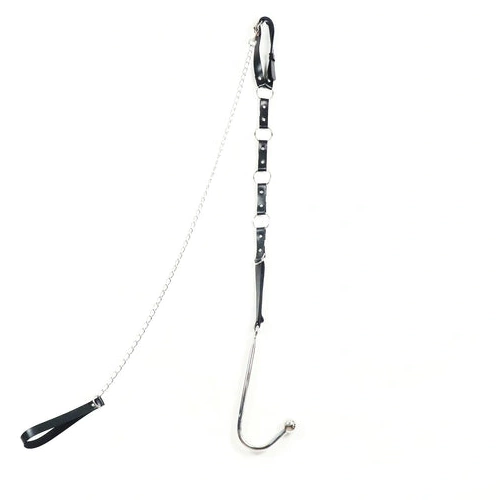 Anal 5853 EverydayUse Kinky Collar and with Leash Hook 0414